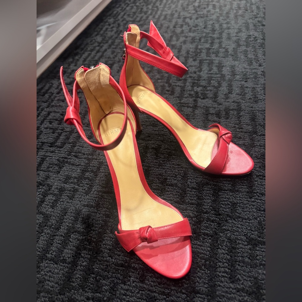 Alexandre Birman red heels retail for $625, selling for $300 lightly worn.